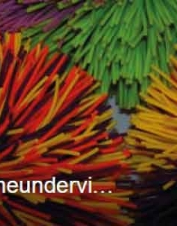 Ny gruppe på facebook for forældre, som hjemmeunderviser autismebørn
